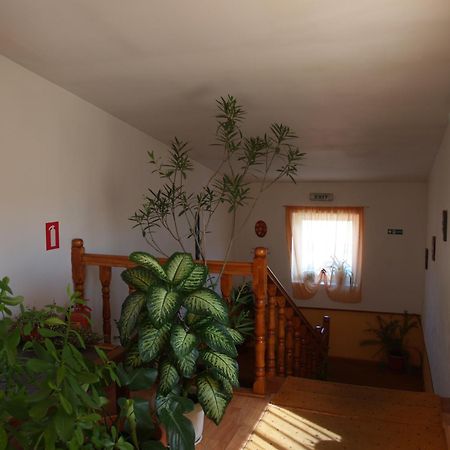 Vila Veche Haţeg Esterno foto