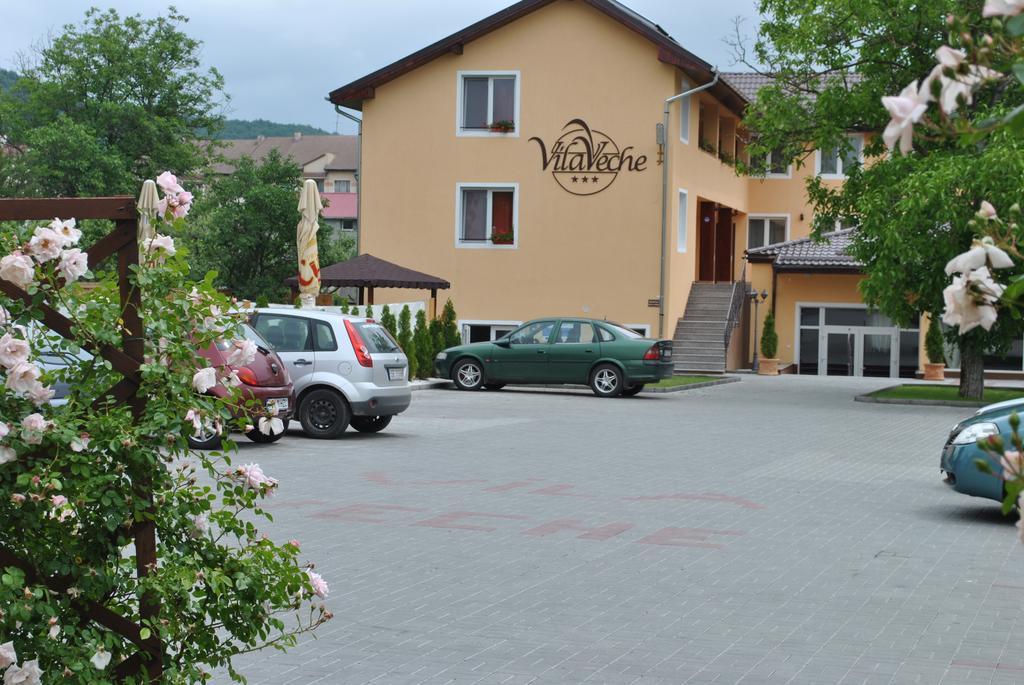 Vila Veche Haţeg Esterno foto