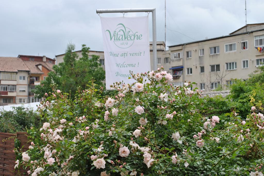 Vila Veche Haţeg Esterno foto